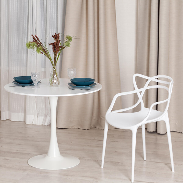 Стул Cat Chair/Кет Чаир (мод. 028) пластик, 54,5х56х84см, белый фото № 8