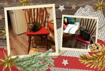 Стул обеденный 853 S (Дуб в красноту) фото покупателя №1