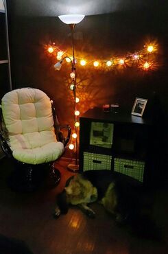 Кресло вращающееся "FLORES" 5005 /с подушкой/ (орех) фото покупателя №1