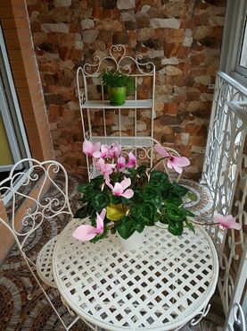 Кованый стол Secret De Maison «Патио» (Patio) (Белый) фото покупателя №1