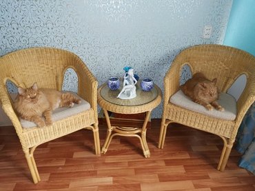 Стол из ротанга 02/08 (Мёд) фото покупателя №1