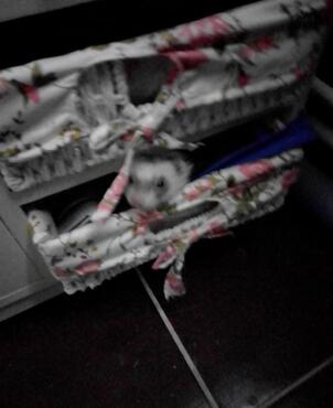 Комод Secret De Maison «Cabas» (Кабас) 4323 с 5-ю корзинами и 5-ю ящиками (Белый) фото покупателя №2